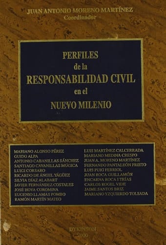 Perfiles de la responsabilidad civil en el nuevo milenio
