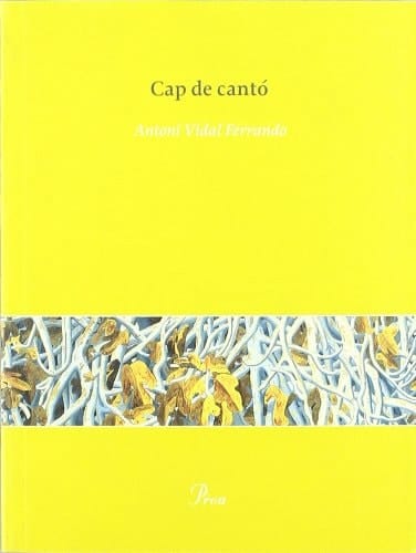 Cap de cantó