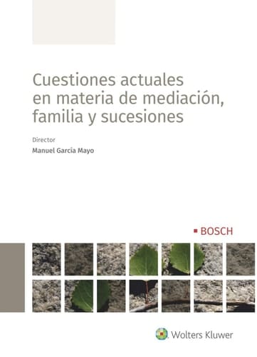Cuestiones actuales en materia de mediación, familia y sucesiones