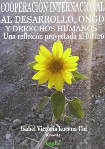 Cooperación internacional al desarrollo, ONGD y derechos humanos una reflexión proyectada al futuro