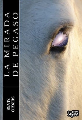 LA MIRADA DE PEGASO