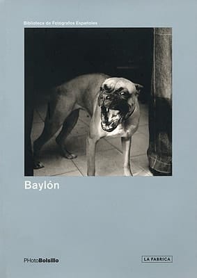 Baylon