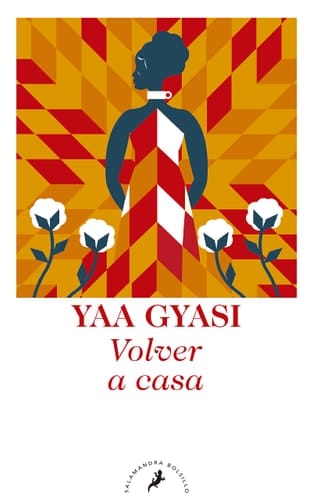Volver a casa / Homegoing