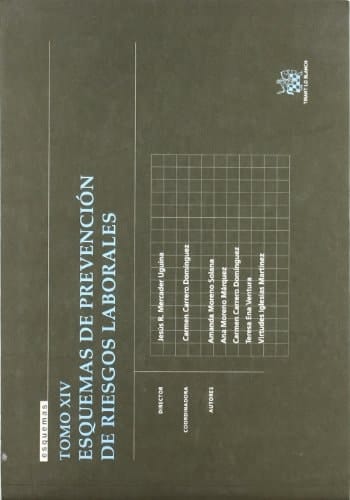 Tomo XIV Esquemas de Prevención de Riesgos Laborales