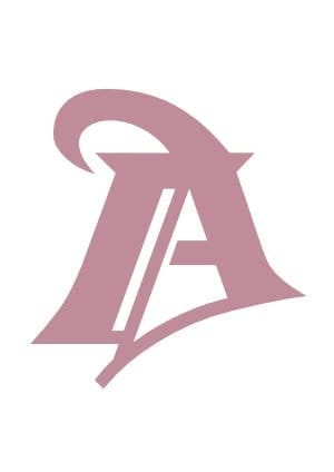 Las garantías de los ciudadanos frente a la inactividad de la administración tributaria