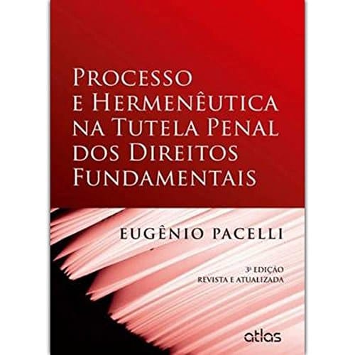 Processo e hermenêutica na tutela penal dos direitos fundamentais