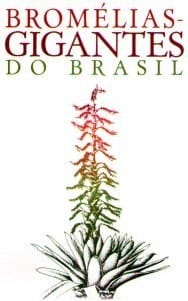 Bromélias gigantes do Brasil