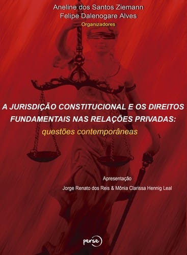 A jurisdição constitucional e os direitos fundamentais nas relações privadas