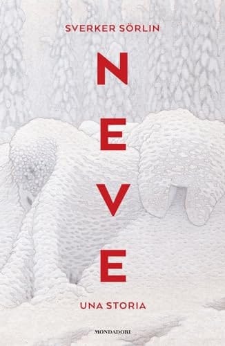Neve. Una storia