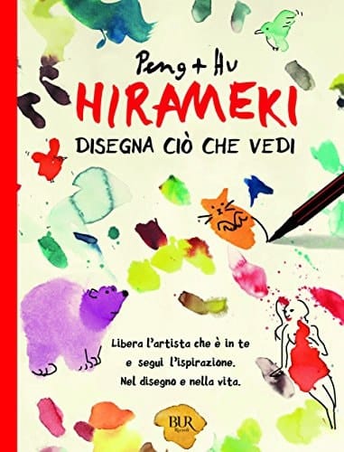 Hirameki disegna cio che vedi