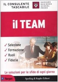 Il consulente tascabile. Il team