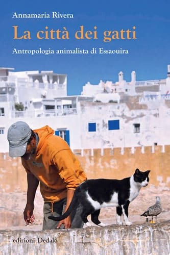 La città dei gatti Antropologia animalista di Essaouira