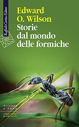 Storie dal mondo delle formiche