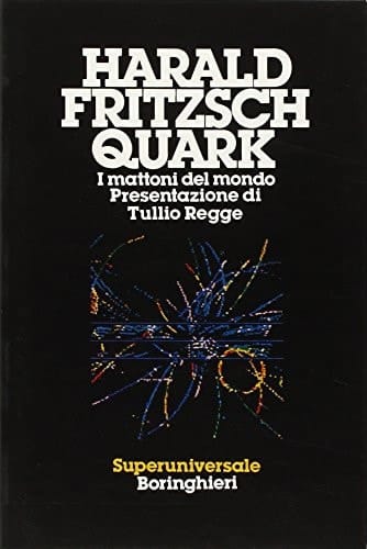 Quark. I mattoni del mondo