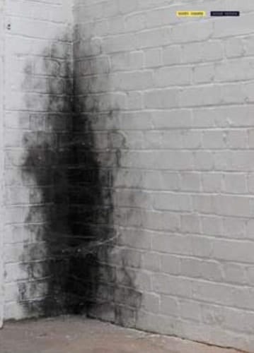 Anish Kapoor Dirty Corner