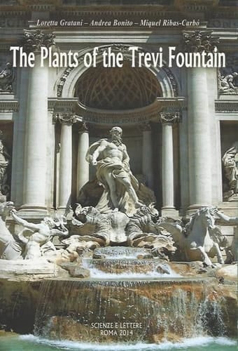 The Plants of the Trevi Fountain