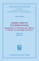 Norma diritto interpretazione Grammatica e filosofia del diritto a partire da Salvatore Pugliatti. Prefazione di Angelo Falzea