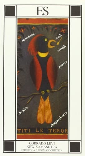New kamasutra didattica sadomasochistica