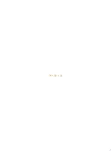 Valerio Rocco Orlando: ENDLESS
