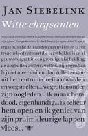 Witte chrysanten