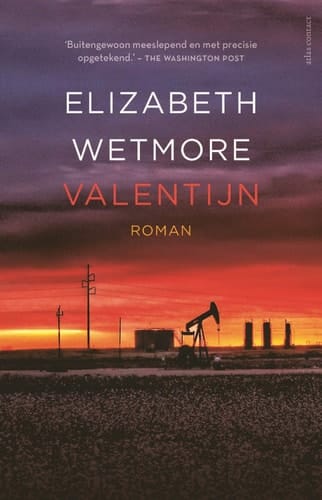 Valentijn roman
