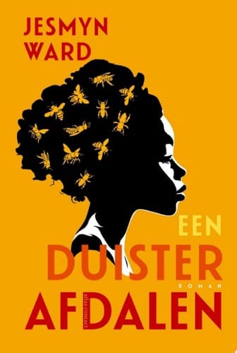 Een duister afdalen