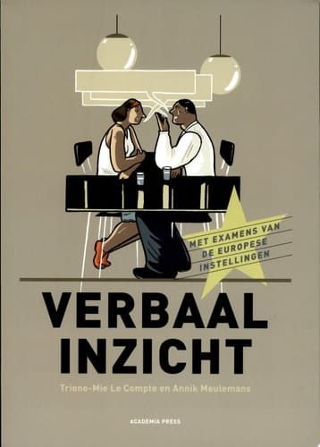 Verbaal inzicht