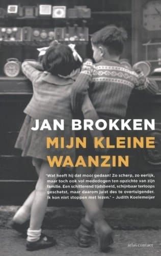 Mijn kleine waanzin roman