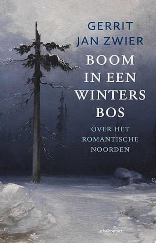 Boom in een winters bos over het romantische noorden