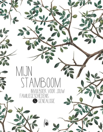 Mijn stamboom: Invulboek voor jouw familiegeschiedenis & genealogie (Dutch Edition)