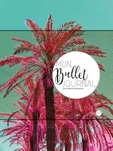 Mijn bullet journal