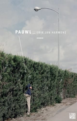 Pauwl roman