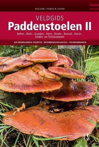 Veldgids paddenstoelen II