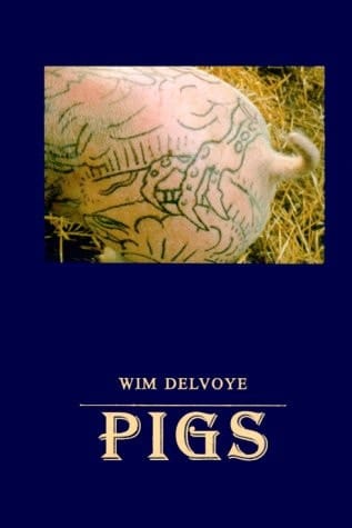 Pigs