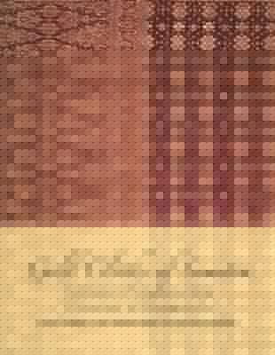 Gold Cloths Of Sumatra Indonesias Songkets From Ceremony To Commodity