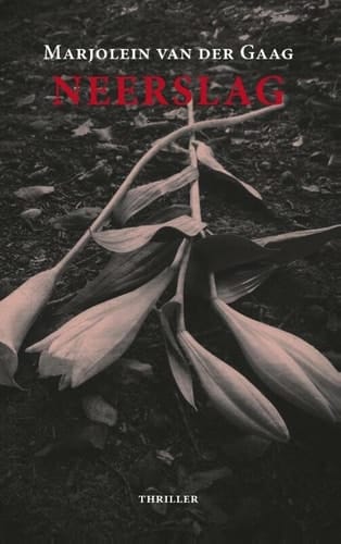 Neerslag thriller