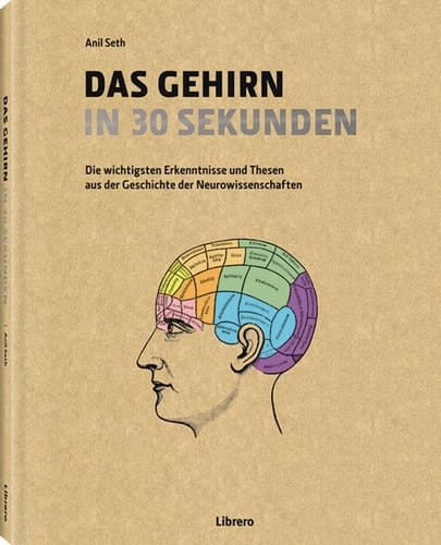 Das Gehirn in 30 Sekunden die wichtigsten Erkenntnisse und Thesen aus der Geschichte der Neurowissenschaften