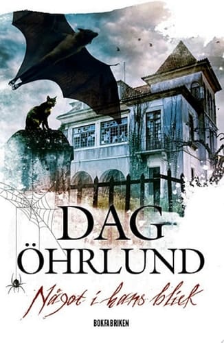 Något i hans blick
