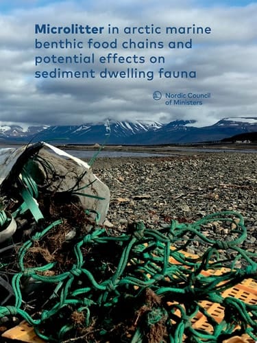 Microlitter in arctic marine benthic food chains and potential effects on sediment dwelling fauna