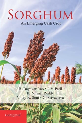 Sorghum An Emerging Cash Crop