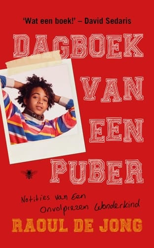 Dagboek van een puber notities van een onvolprezen wonderkind