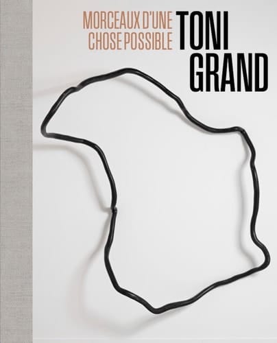 Toni Grand morceaux d'une chose possible