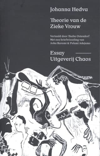 Theorie van de zieke vrouw essay