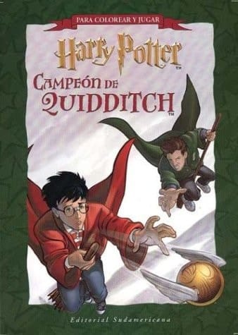 Harry Potter Campeon de Quiddi