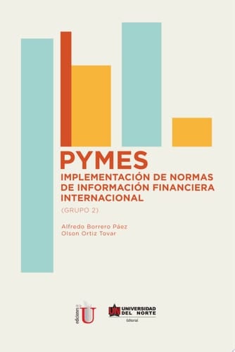 PYMES Implementación de normas de información financiera internacional (Grupo 2)