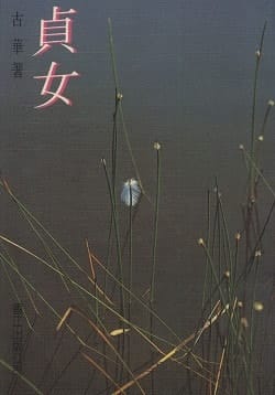 Zhen nü (Mandarin Chinese Edition)
