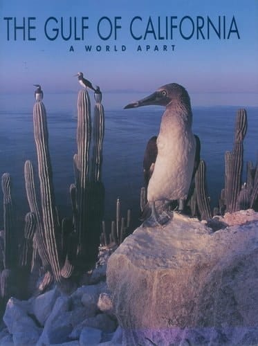 The Gulf of California A World Apart