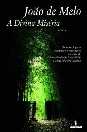 A Divina Miséria