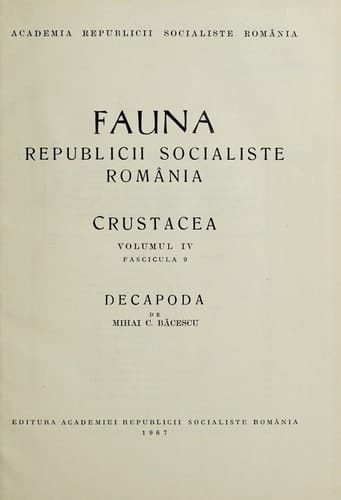 Familia Salticidae