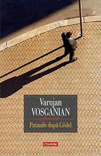 Patimile după Gödel roman